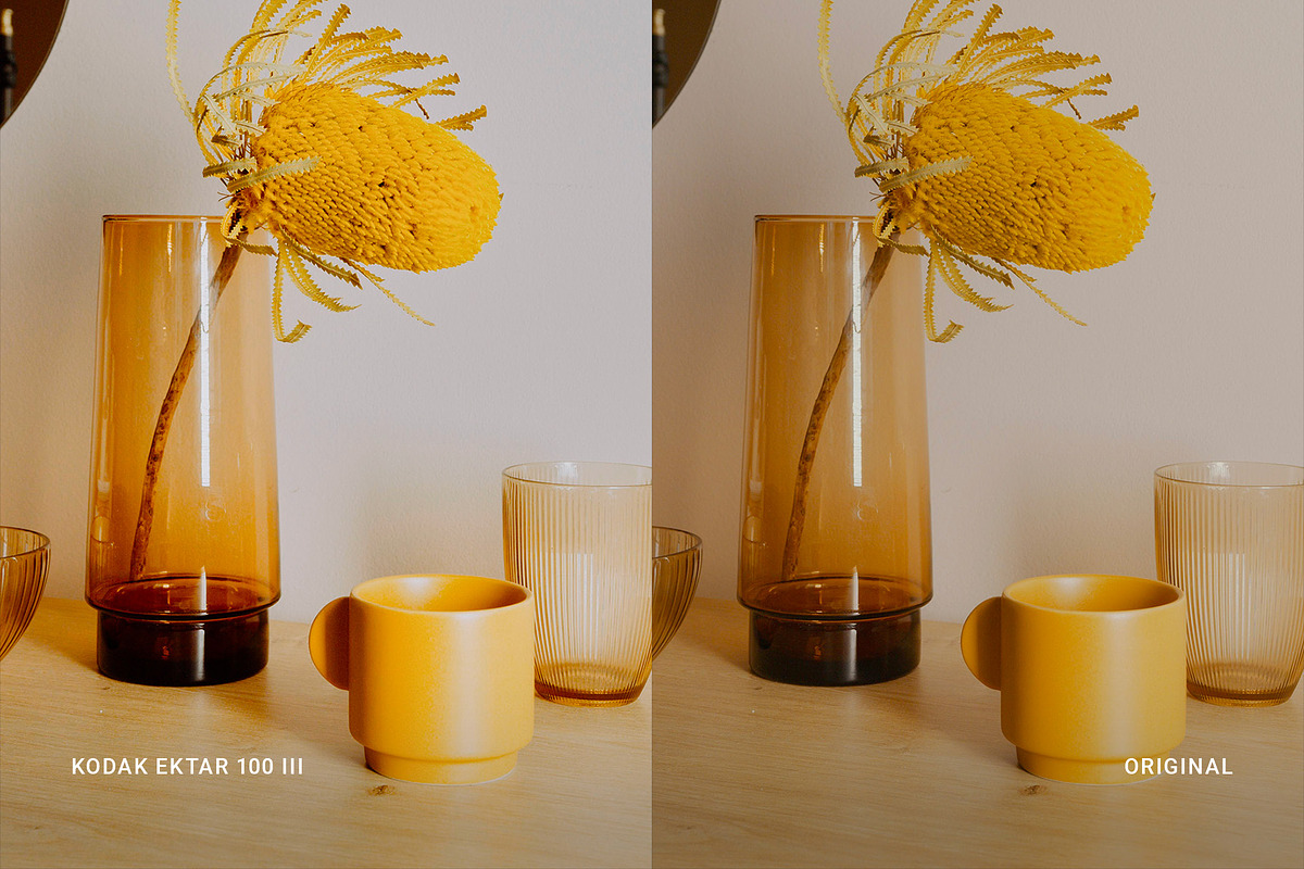 Kodak Ektar 100 III, a Preset Add-On by colorituals (Photo 4 of 8)