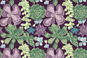 Cactuses and succulents collection, a Decorative Illustration by handsketched (Thumbnail 3 of 7)