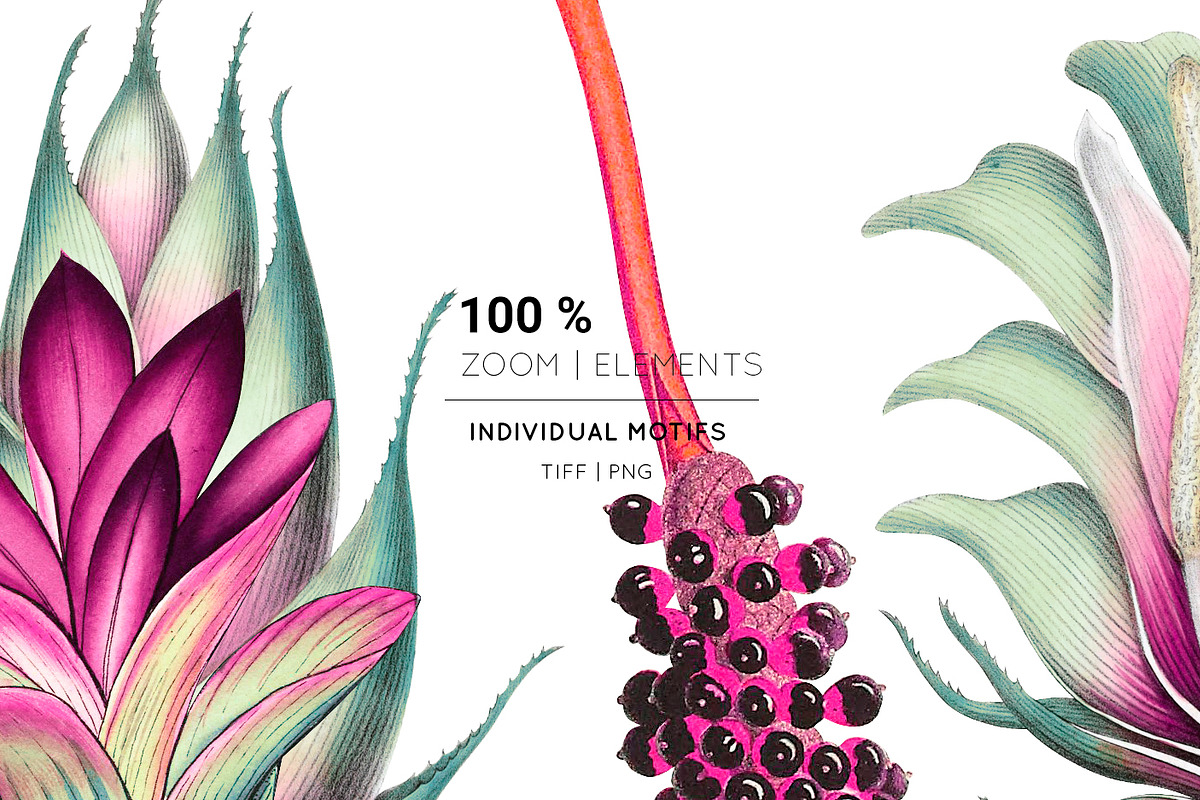 Montage, Luxury Patterns & Motifs, a Pattern Graphic by Pink Linen (Photo 13 of 14)