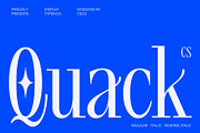 CS Quack – Aesthetic Font, a Serif Font by Craft Supply Co. (Thumbnail 1 of 8)