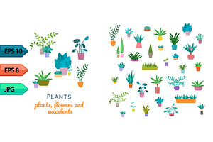 Vector indoor plants in ceramic pots