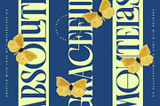 Glowfor Modern Serif Display Font, a Serif Font by timelesstype.co (Thumbnail 10 of 20)