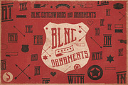 Blnc Family Typeface, a Serif Font by Swistblnk Std. (Thumbnail 4 of 5)