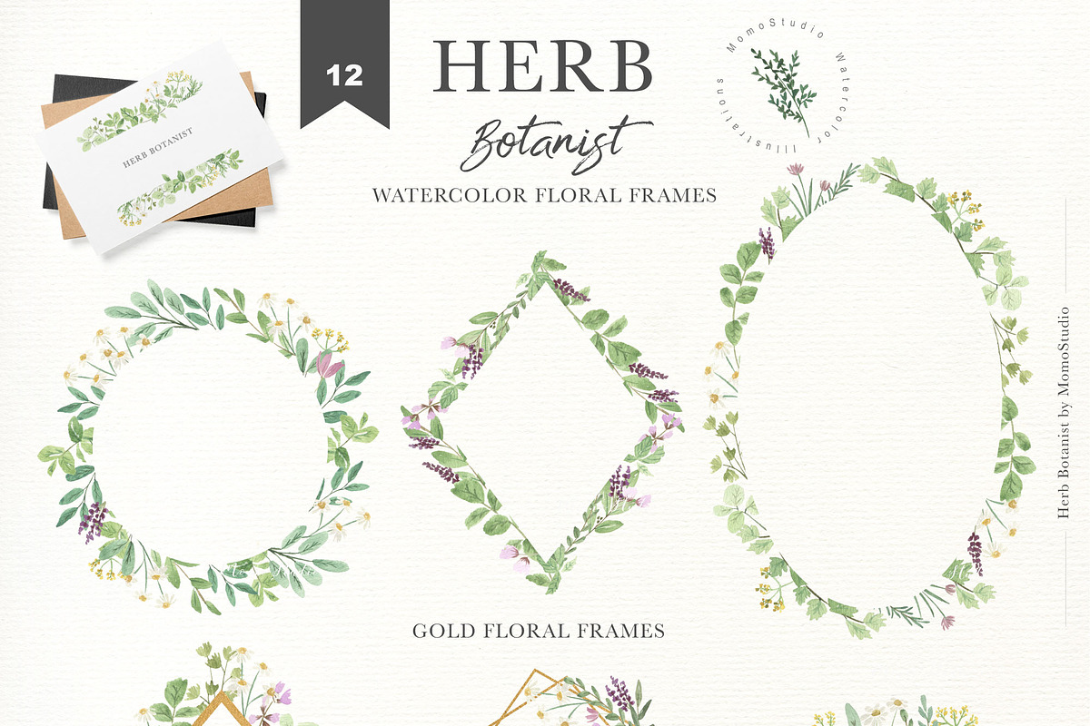 HERB BOTANIST watercolor clipart, a Decorative Illustration by Momo Studio (Photo 11 of 15)