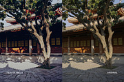 Fuji FP 100C V, a Preset Add-On by colorituals (Thumbnail 7 of 9)