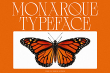 Monarque - Elegant & Chic Serif