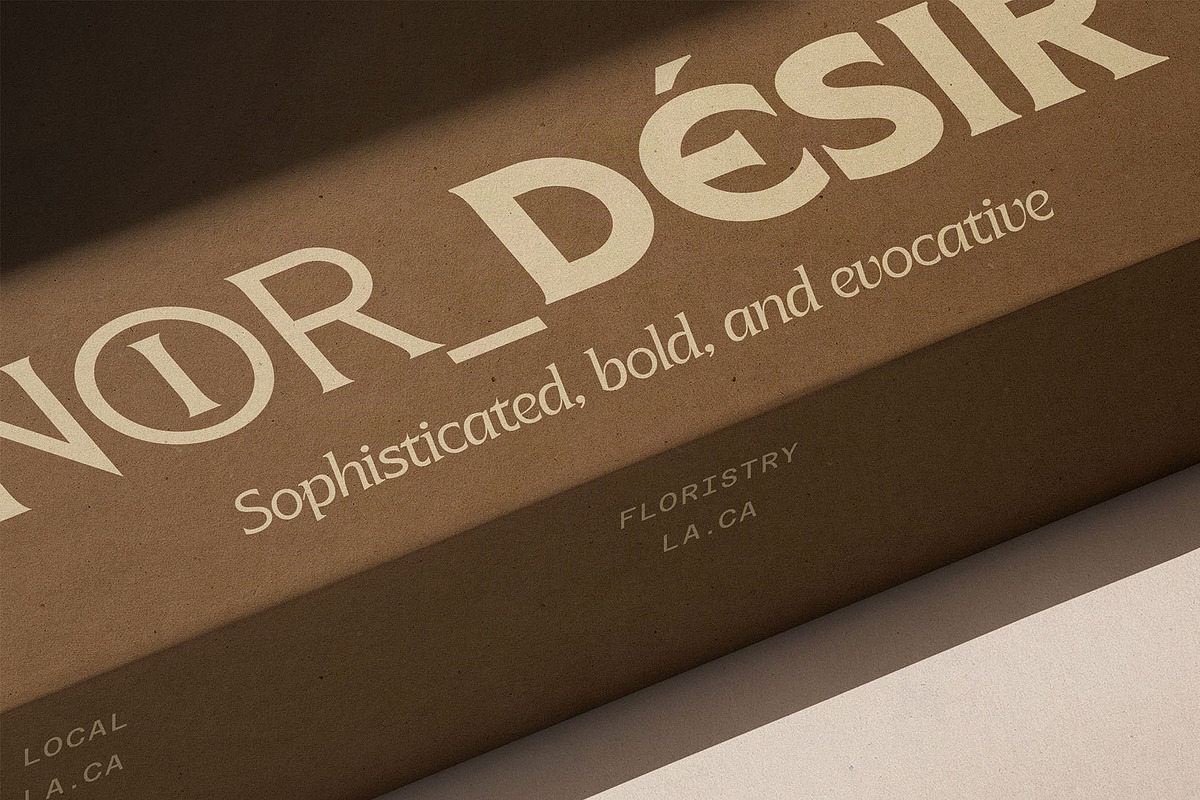 Arcilla — Variable Editorial Serif, a Serif Font by SilverStag Type Foundry (Photo 14 of 31)
