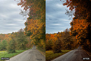 Misty Autumn Forest Presets, a Preset Add-On by AAA Presets (Thumbnail 7 of 13)