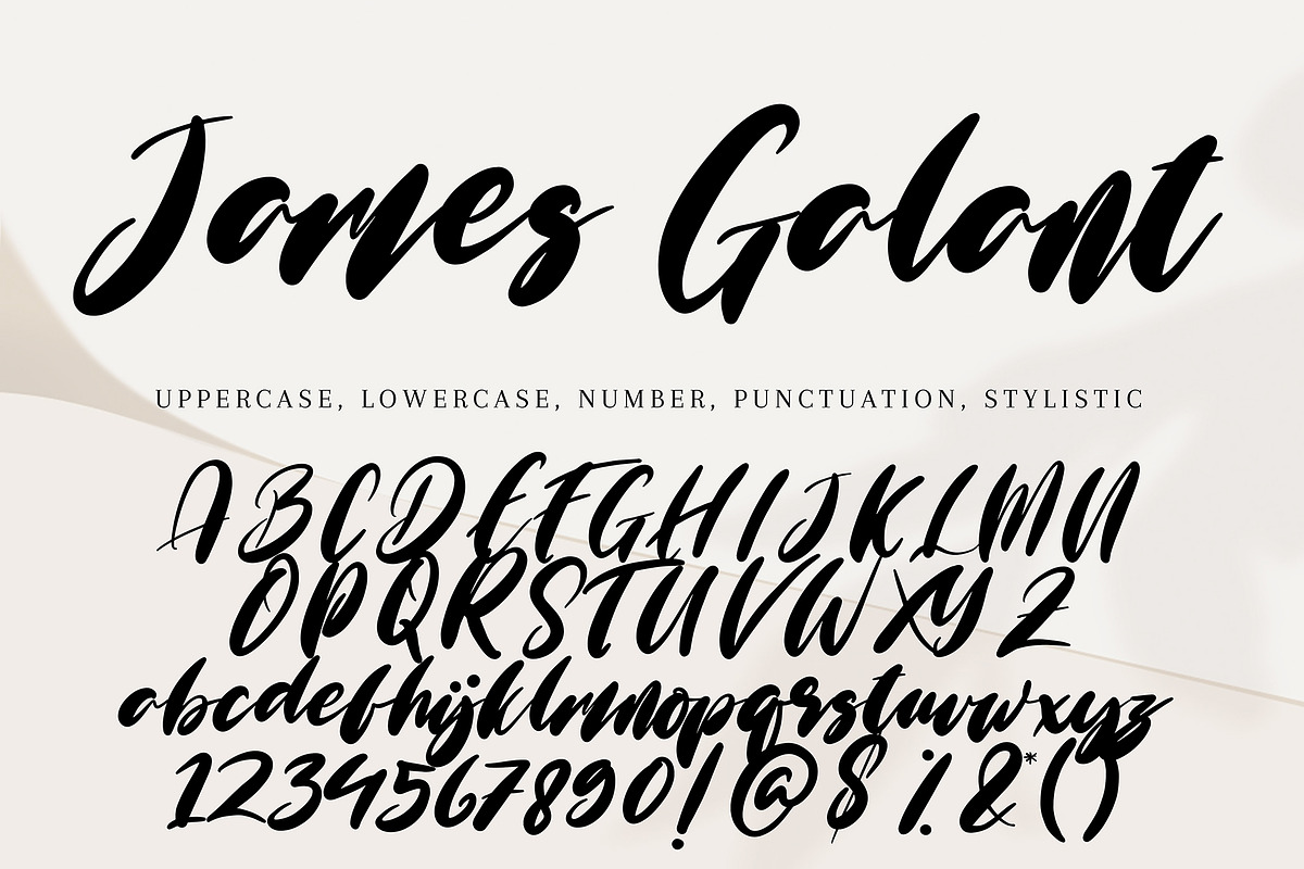James Galant, a Handwritten Font by HaKi Studio (Photo 5 of 5)