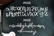 Spoonfull Script Font, a Script Font by Creativeqube Design (Thumbnail 2 of 14)