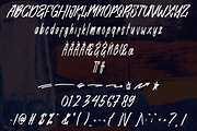 Mickle Swash Brush Font, a Handwritten Font by NTC Graphic (Thumbnail 8 of 9)