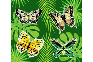 Tropical Butterflies And Exotic