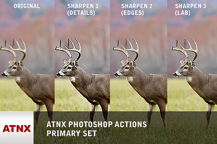 ATNX Photoshop Actions (Primary Set)