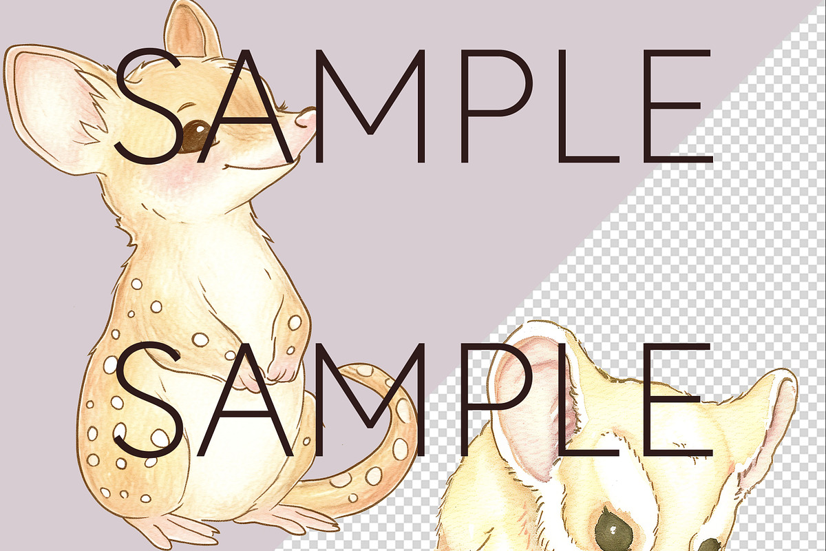 Australian Animal Nursery Clipart, an Animal Illustration by Pawcasso's Portraits (Photo 4 of 6)
