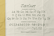 Slanker – Elegant Display Serif Font, a Font by Pixesia Studio (Thumbnail 12 of 12)