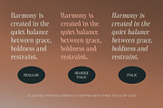 CS Alessia – Elegant Font, a Serif Font by Craft Supply Co. (Thumbnail 7 of 8)