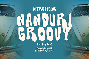 Nanduri Groovy Playful Display Font
