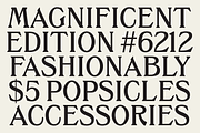 Encore Neue - A Timeless Serif Font, a Serif Font by The Type Fella (Thumbnail 8 of 8)