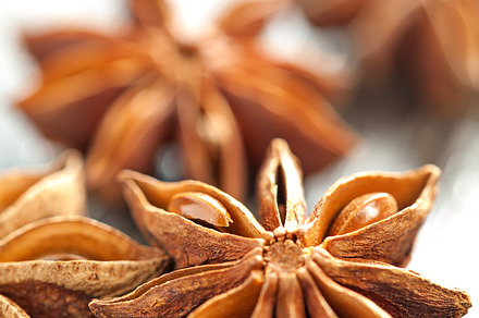 Carnation Spice preview 5
