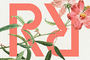 Baroque Grotesk - Ultra Bold Font, a Sans Serif Font by SilverStag Type Foundry (Thumbnail 5 of 20)
