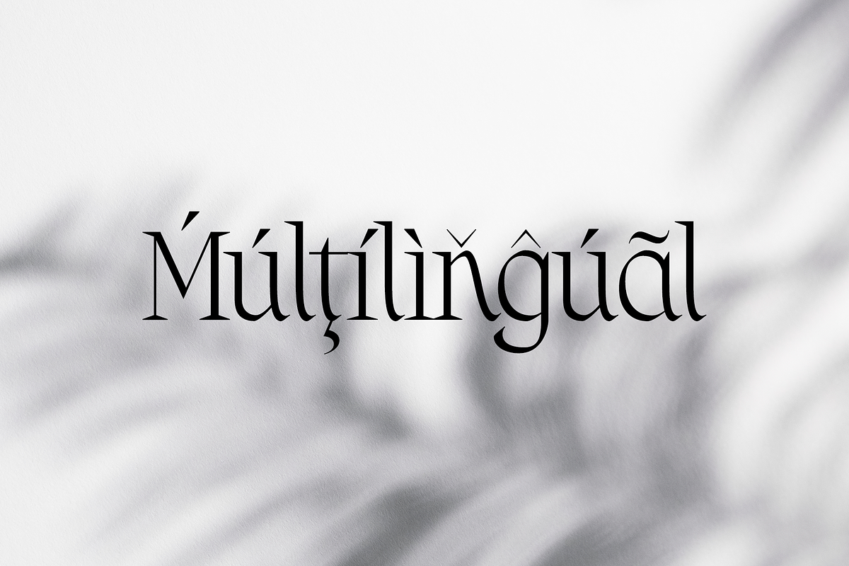 Fernhead Decorative Serif Font, a Serif Font by Headfonts (Photo 10 of 11)