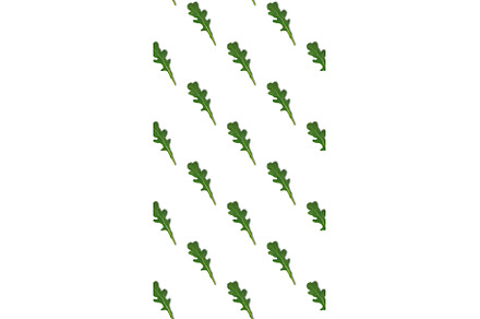 Seamless pattern with green arugula, a Food & Drink Photo by zakiroff