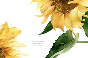 Sunflower Watercolor summer flowers, a Decorative Illustration by Diana Askarova Art (Thumbnail 3 of 8)