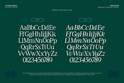TBJ Moltefamilia Serif italic, a Serif Font by Taboja Studio (Thumbnail 2 of 15)