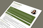 Professional Resume Template, a Resume Template by Anjum Ilyas (Thumbnail 5 of 6)