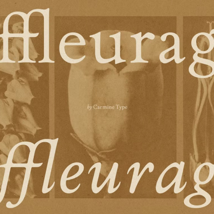 Heraldic Serifs