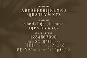 Brigehelyn Serif Fonts, a Serif Font by mahstudios (Thumbnail 12 of 15)
