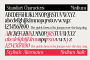 Enigmatica - Serif font family, a Serif Font by Artistic & Unique (Thumbnail 3 of 15)