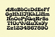 MC Kombucha, a Serif Font by McLetters (Thumbnail 2 of 8)
