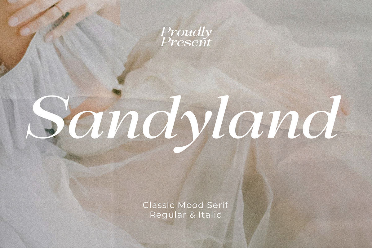 Sandyland Serif, a Serif Font by Violet Natural (Photo 1 of 11)