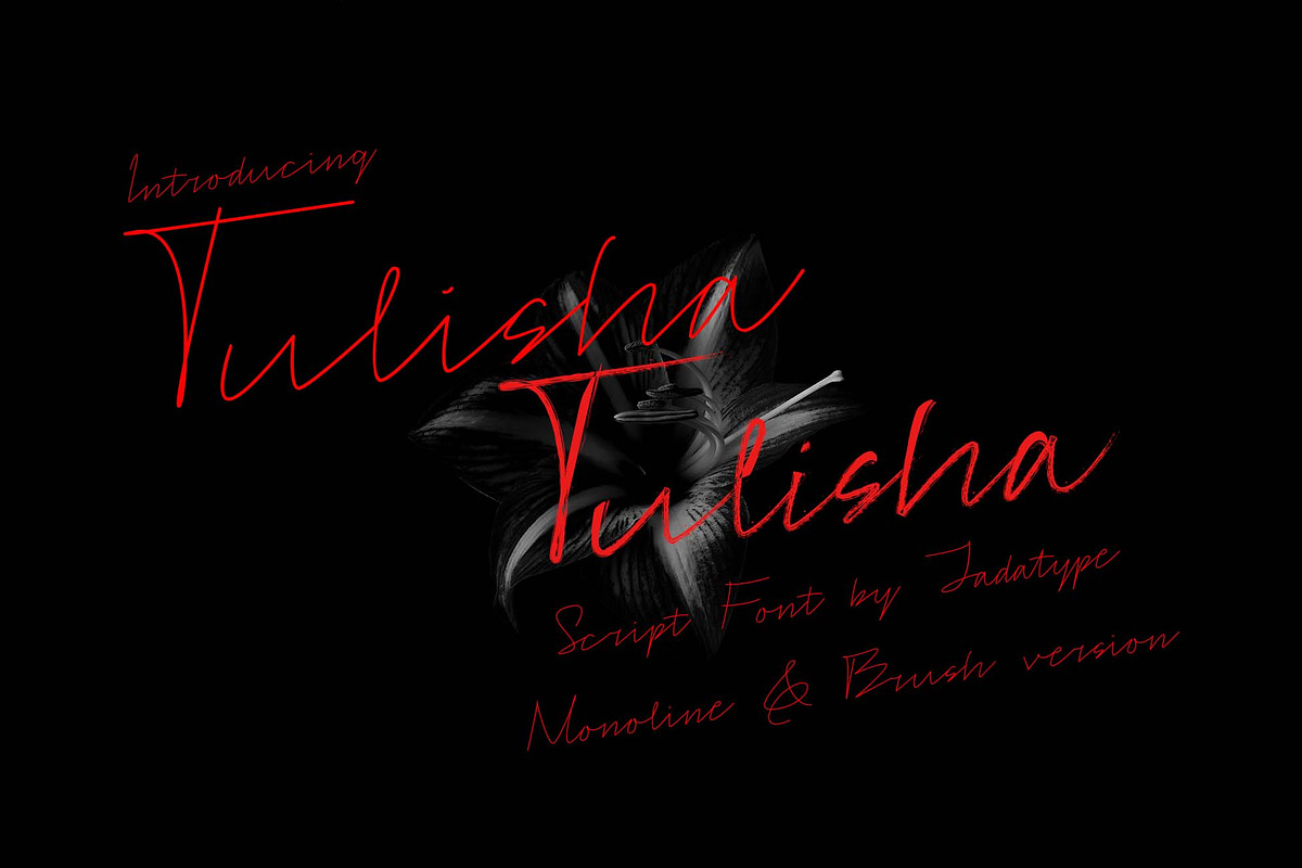 Tulisha | Monoline & Brush Script, a Script Font by Jadatype.id (Photo 1 of 7)