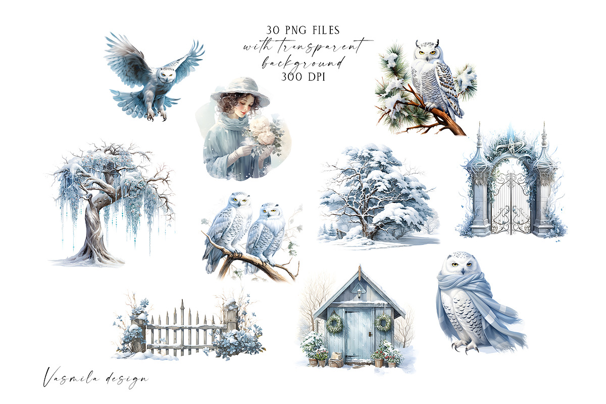 Winter Owl Garden, a Decorative Illustration by Vasmila (Photo 3 of 9)