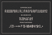 Arfelie font, a Serif Font by VectorCraft (Thumbnail 2 of 4)