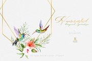 Hummingbird Birds Collection, an Illustration by ReachDreams (Thumbnail 5 of 6)