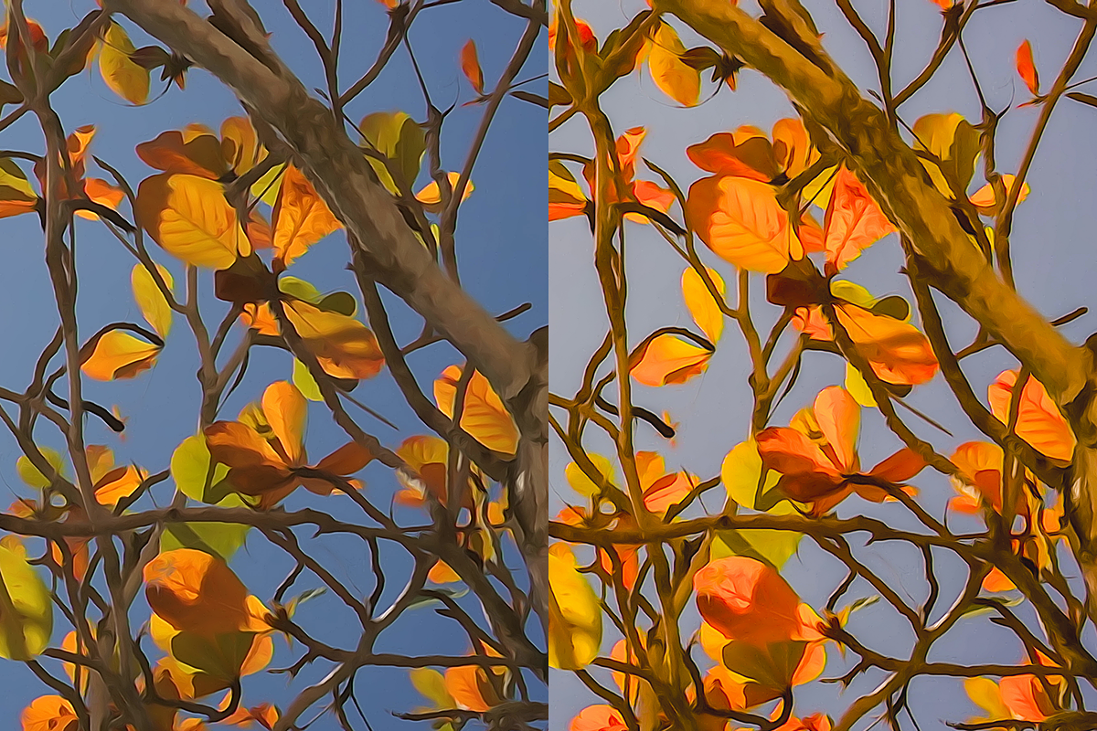 10 Autumn Leaves Lightroom Presets, a Preset Add-On by RamsaGraphi (Photo 9 of 10)