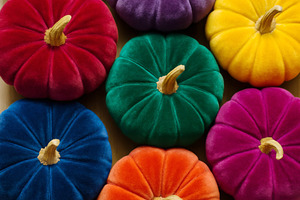 Colorful pumpkins in various shades, a Photo by Dvoevnore photos