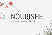 Nourishe, a Sans Serif Font by Arterfak Project (Thumbnail 1 of 10)