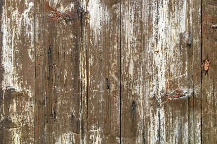 Old wood texture