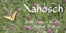 Xahosch