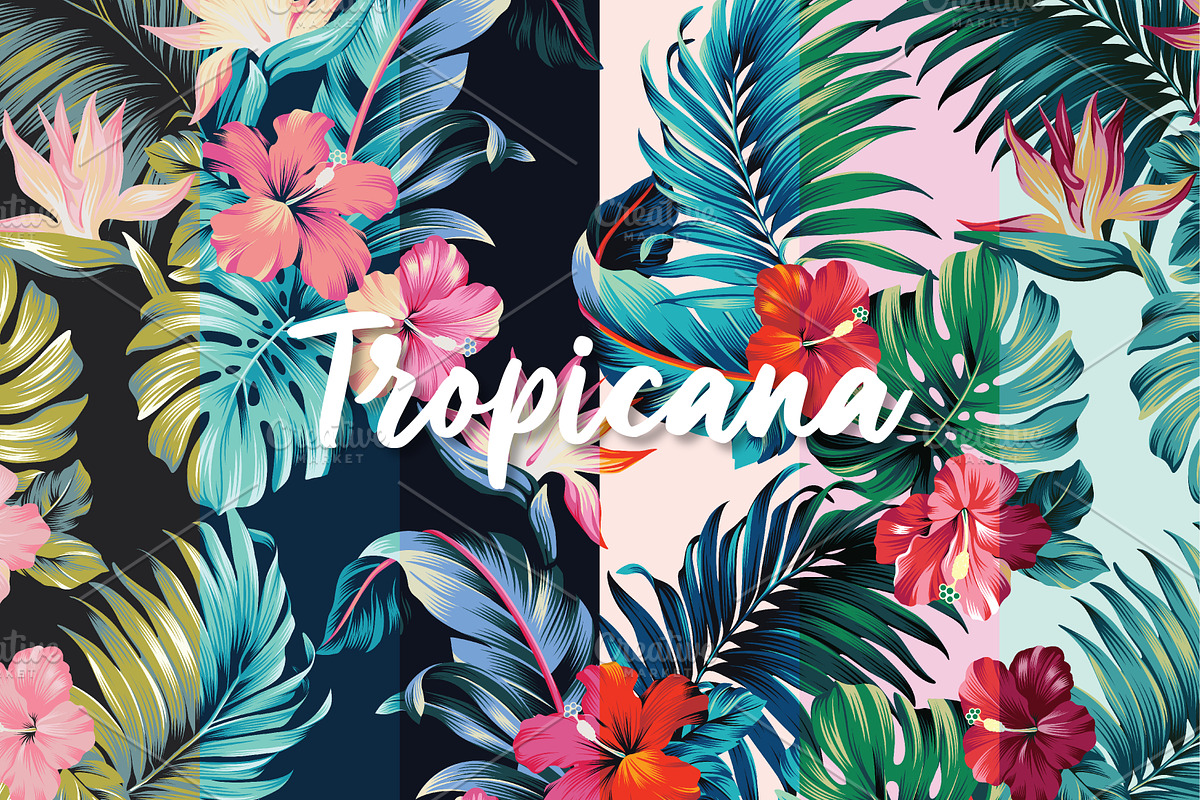 Tropicana, Tropical Print Patterns, a Pattern Graphic by ASTUDIO (Photo 1 of 10)