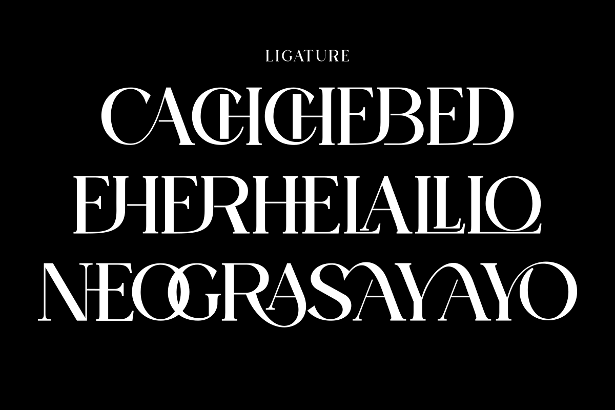 Domilla, a Serif Font by zaaintype (Photo 2 of 12)