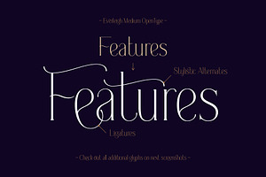 Everleigh Font Duo