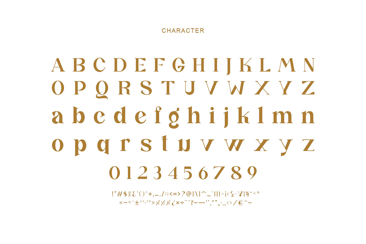 Ralika Ligature Serif Typeface, a Serif Font by yaqublekker (Photo 9 of 10)