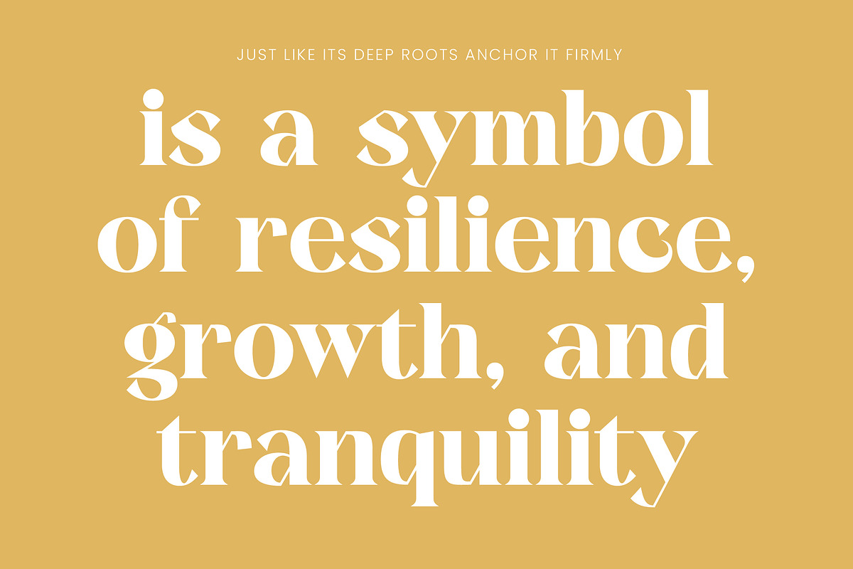 Kavare Bold Modern Serif Font, a Serif Font by timelesstype.co (Photo 15 of 20)