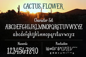 Cactus Flower