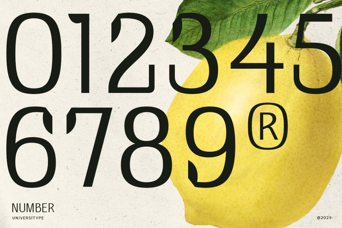 UT Doangs - An Ornament Display Font, a Sans Serif Font by Universitype (Photo 8 of 15)